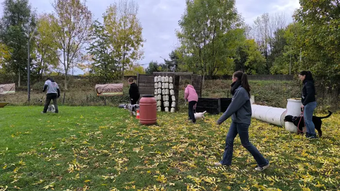 éducation canine en groupe à hermalle-sous-huy groupe d'éducation canine